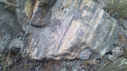 Гигантские зелёные валуны для ландшафтного дизайна весом более 5 тонн купить в Орловской области