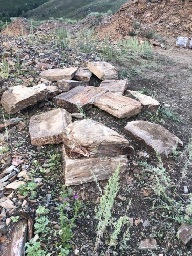 Плитняк кора дерева 50-100мм для пошаговых дорожек купить в Орловской области